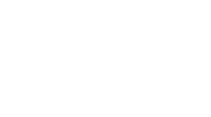 logo-light